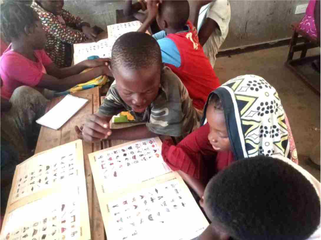 ALfA program in action — students learning in pairs